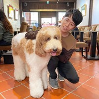 Lucas's photo