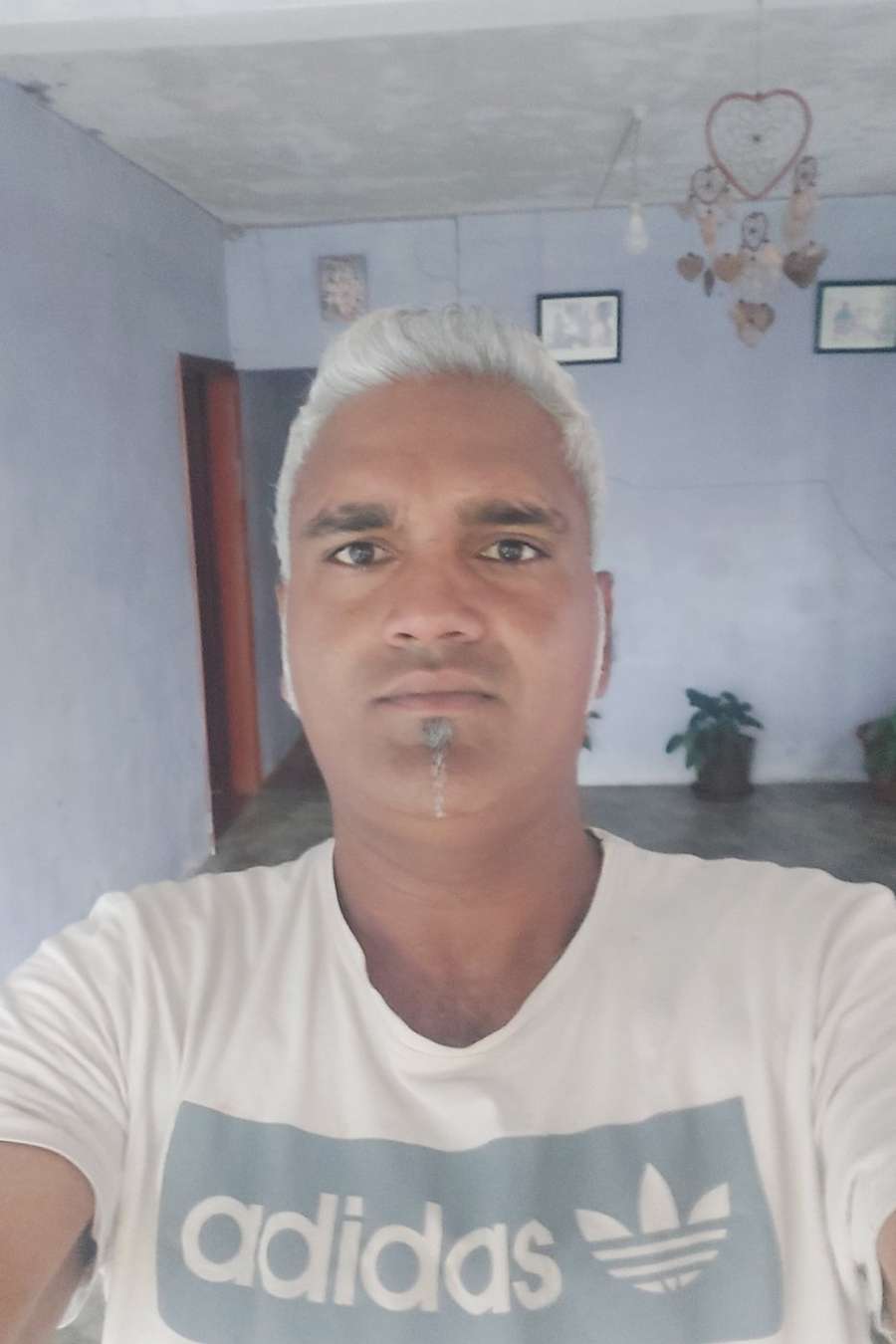 88228154 4752 medium large