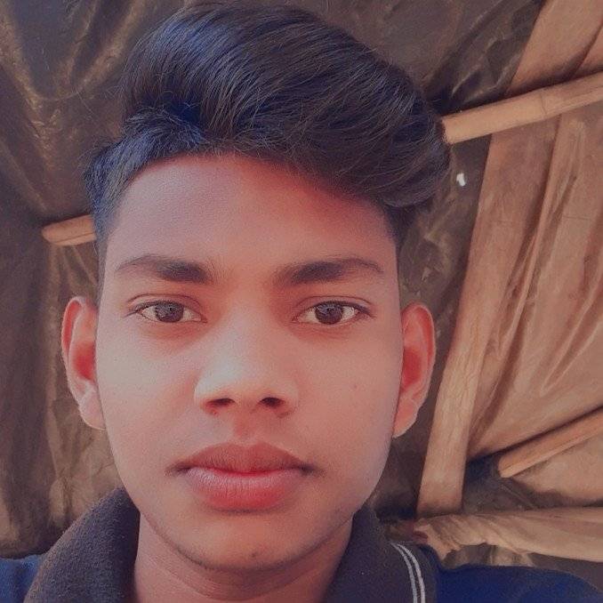 79741401 2322 medium large