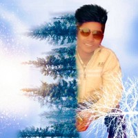 Sharon Sharry's photo