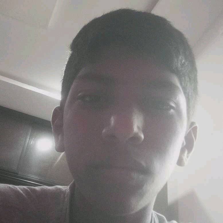 73774212 7745 medium large