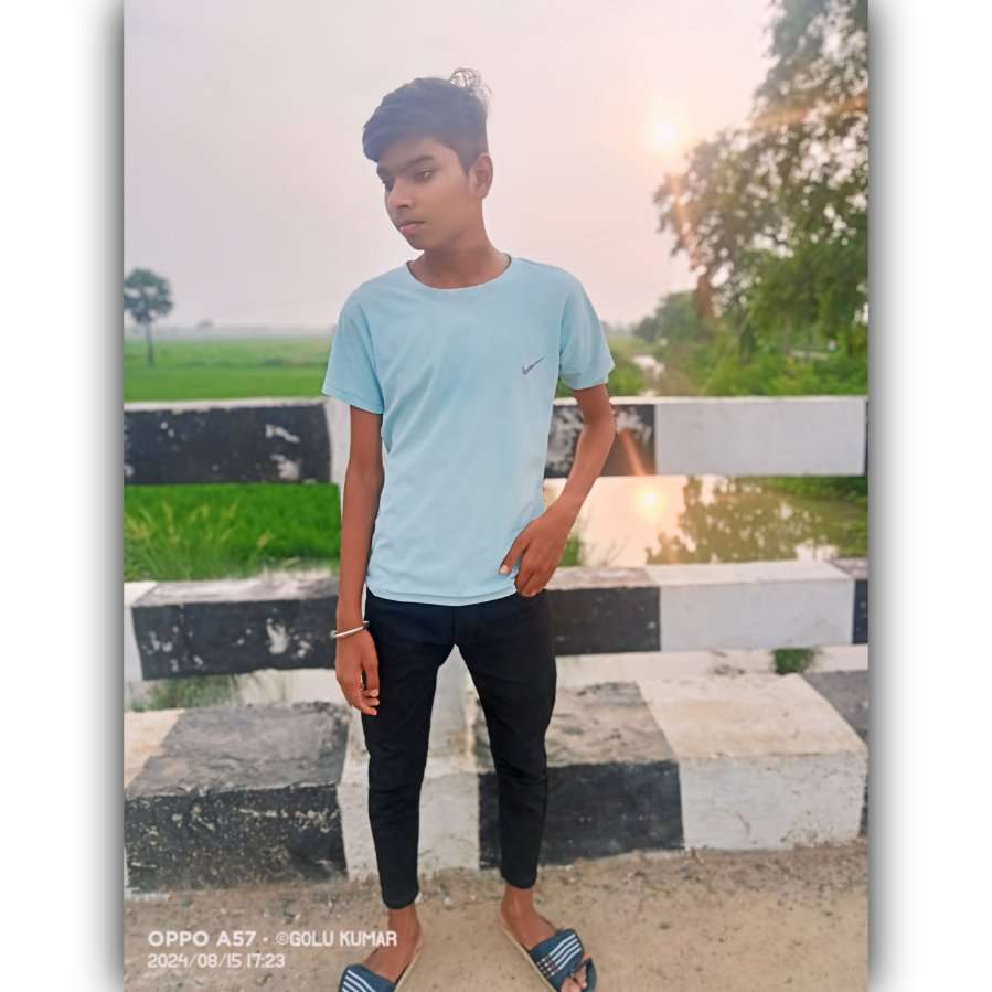 82312555 6203 medium large