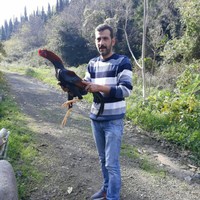 Fahri Korkmaz's photo