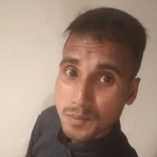 55431262 7685