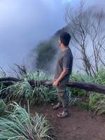 niceniceonly's photo