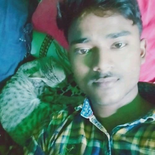55156826 4133