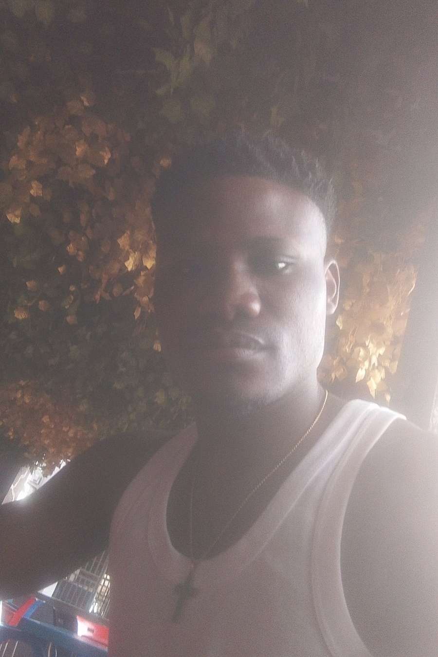 95353448 587 medium large