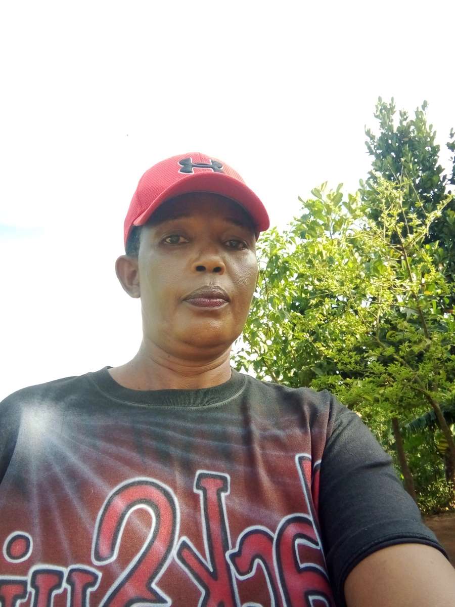 87487264 2609 medium large