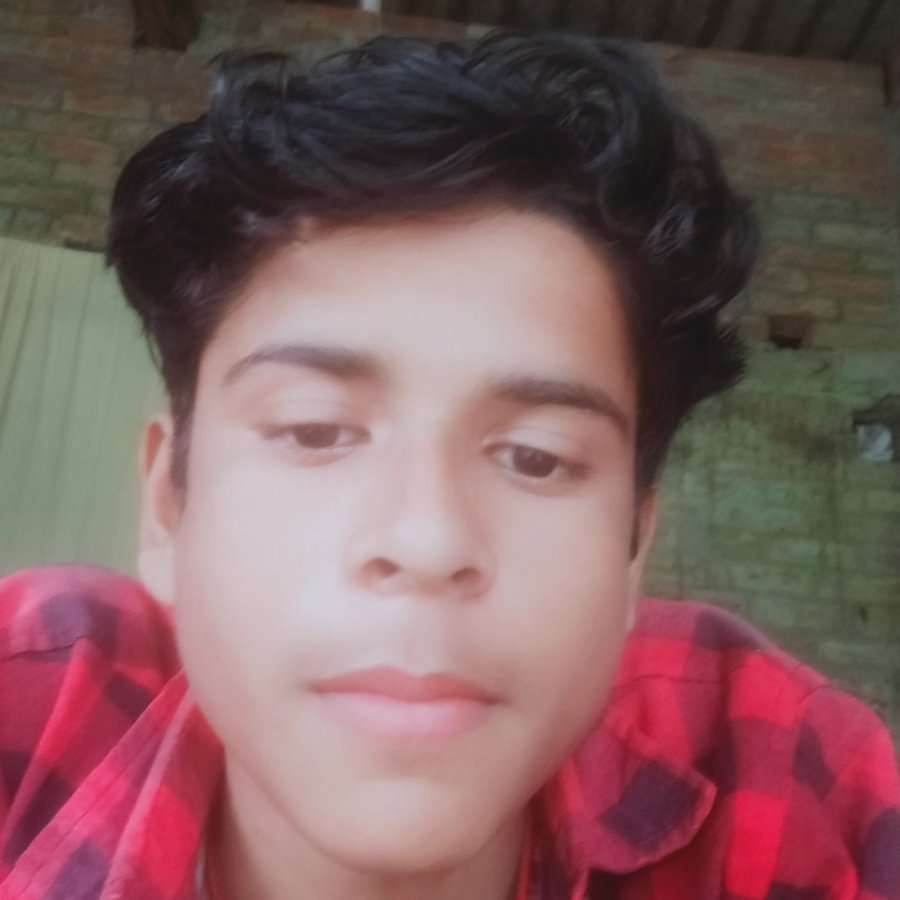 82297453 8366 medium large