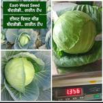 Jamaludin Jamal's photo