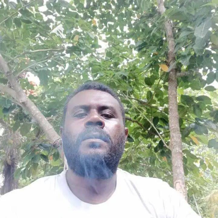 79721853 4149 medium large