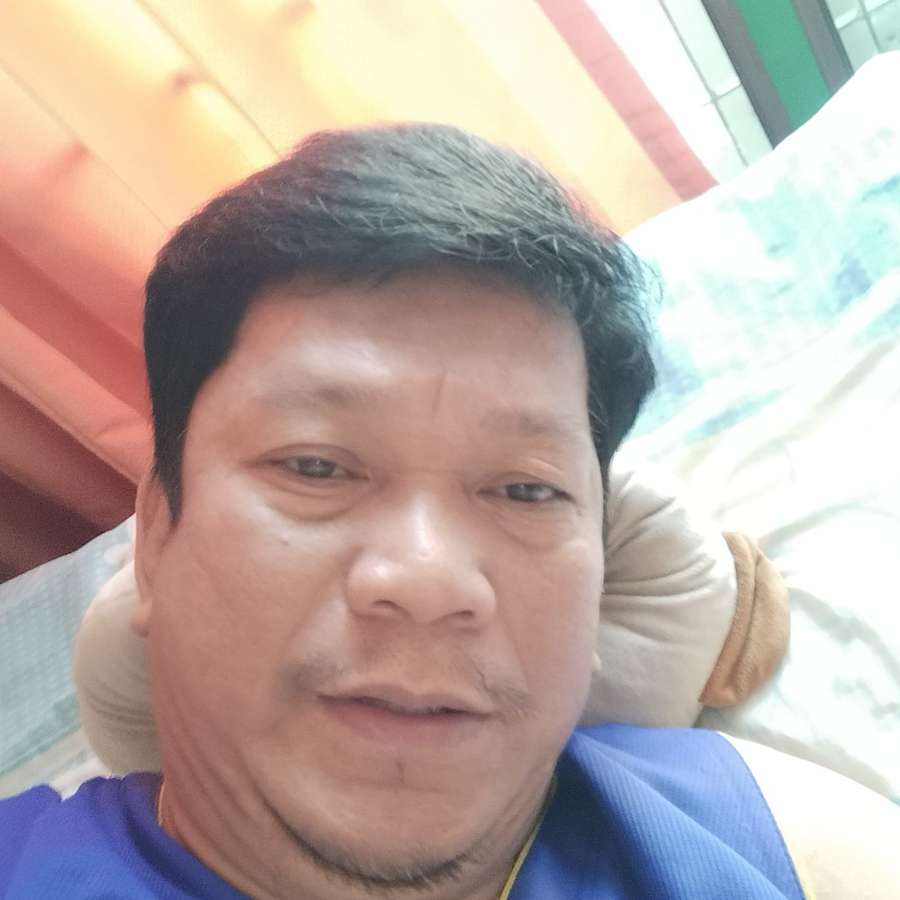 84608141 499 medium large