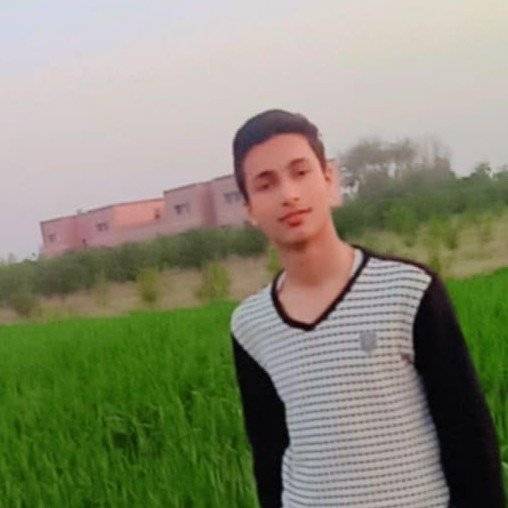 84917086 4583 medium large