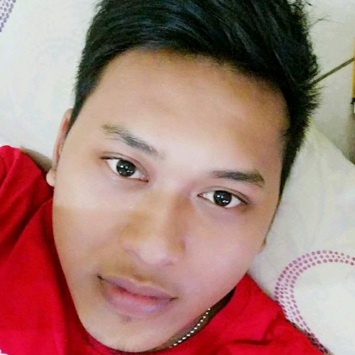 58514916 7433