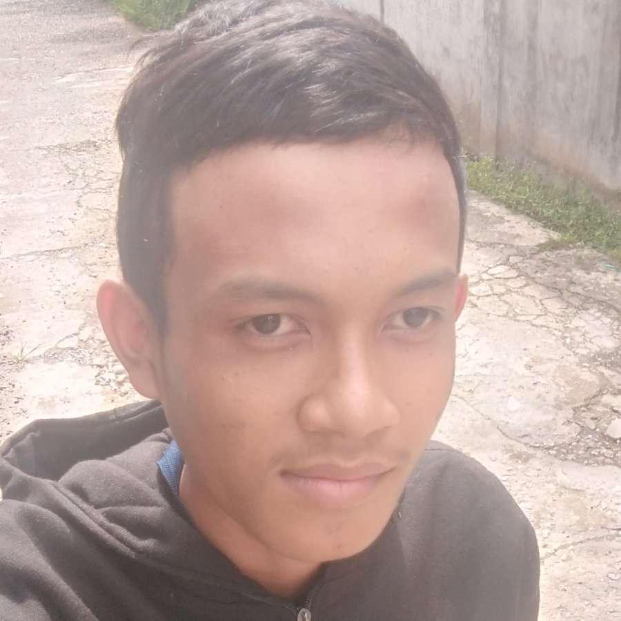 77723017 2904 medium large