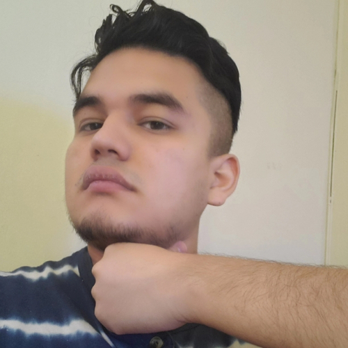 45123162 733