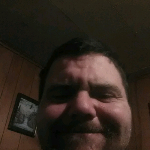 50978633 4256