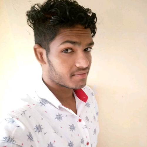 51011894 4744