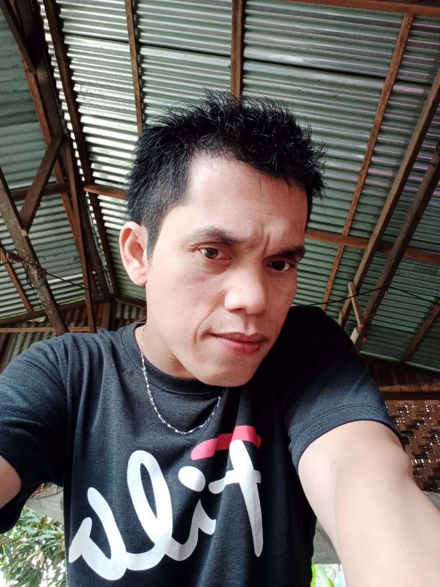 78695608 6798 medium large