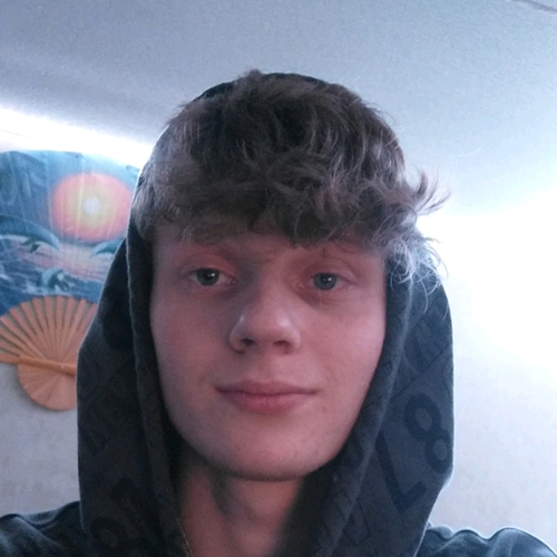 52224407 2645