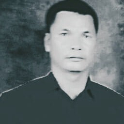 44602978 3701