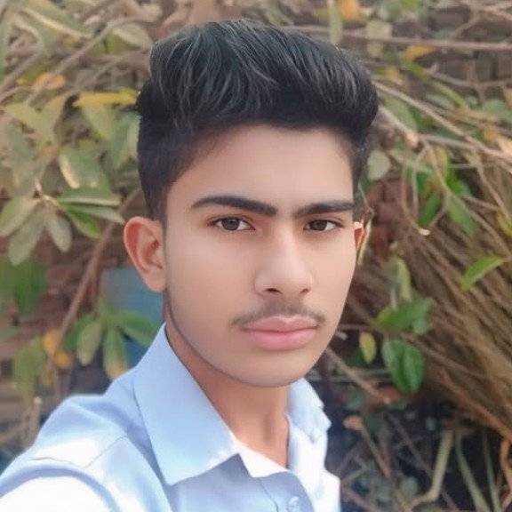 85470287 2453 medium large