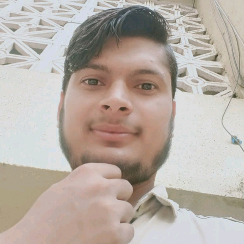 52234198 2541