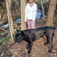 Ladyinbluestain's photo