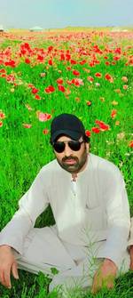 Muhammad Sadique's photo