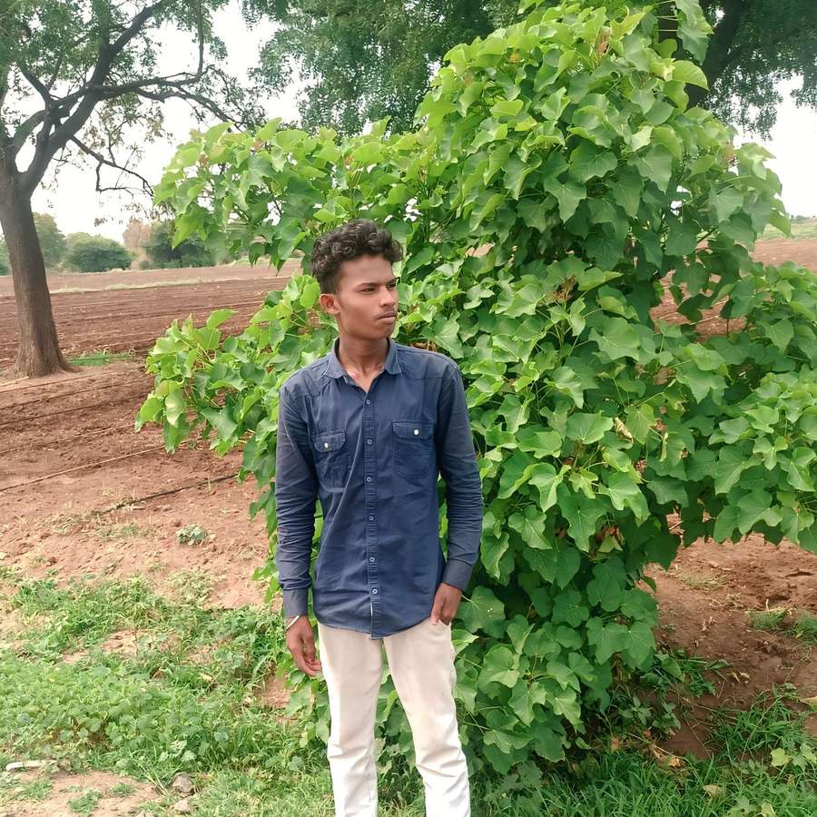87818080 6150 medium large