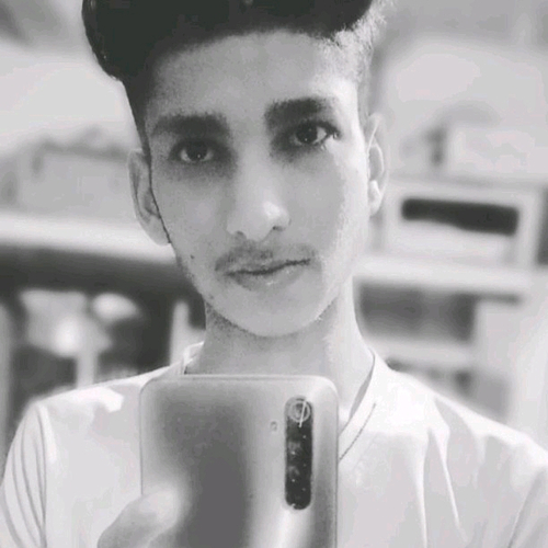 53198666 1248