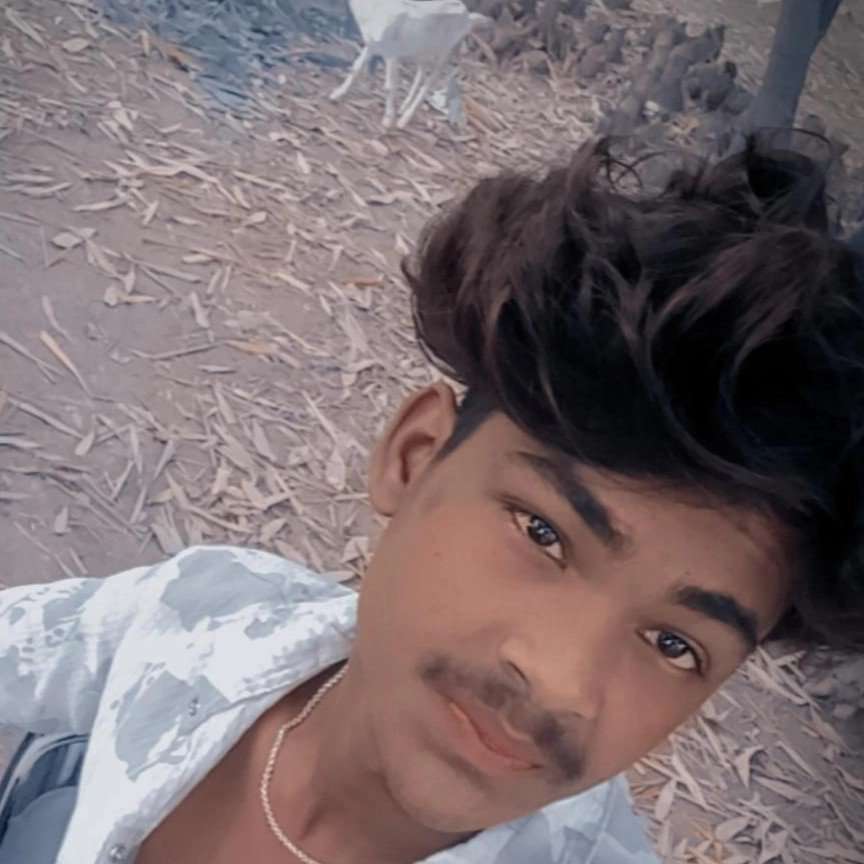 87981582 626 medium large