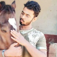 Partap Singh l's photo