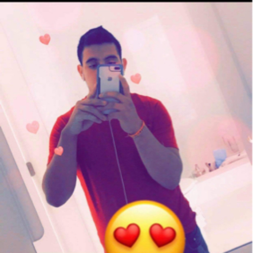 56446464 3041