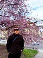 ViN 's photo