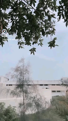 56869511 1662