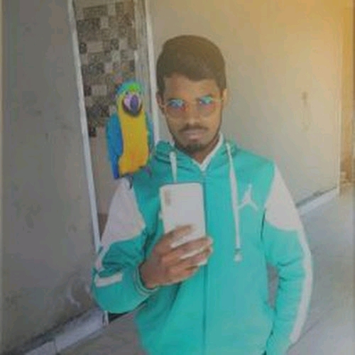52118215 8587