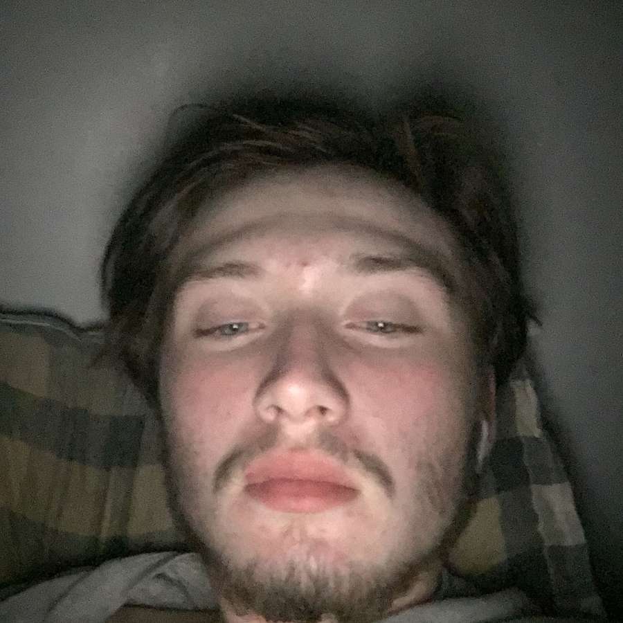 75281275 2446 medium large