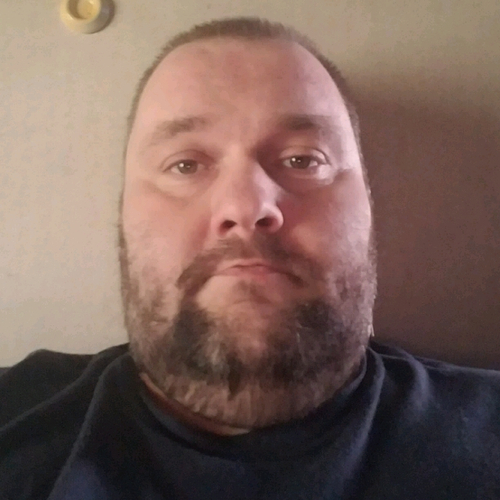 52819166 8638