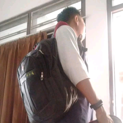 55683417 2564