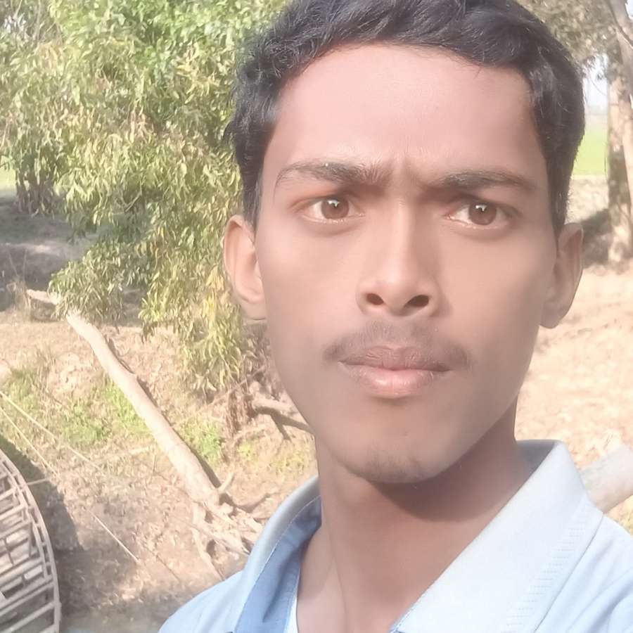 87391853 7666 medium large