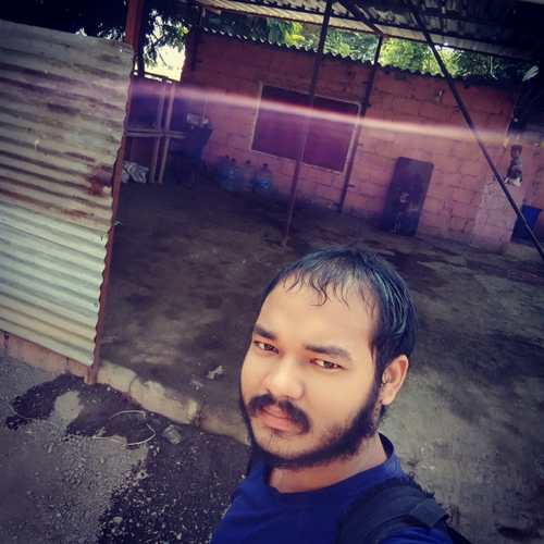 56737901 7517