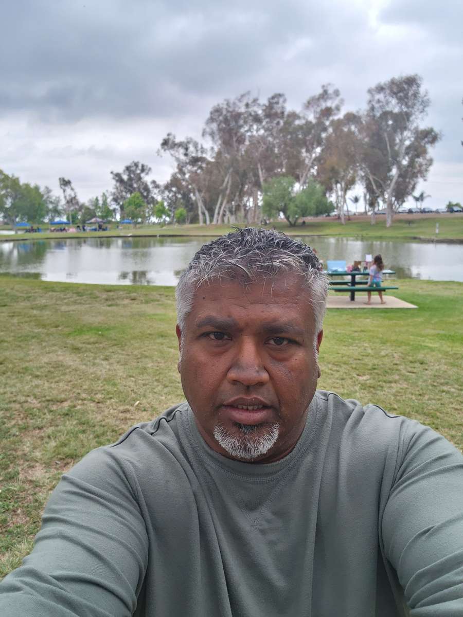 79955683 8170 medium large