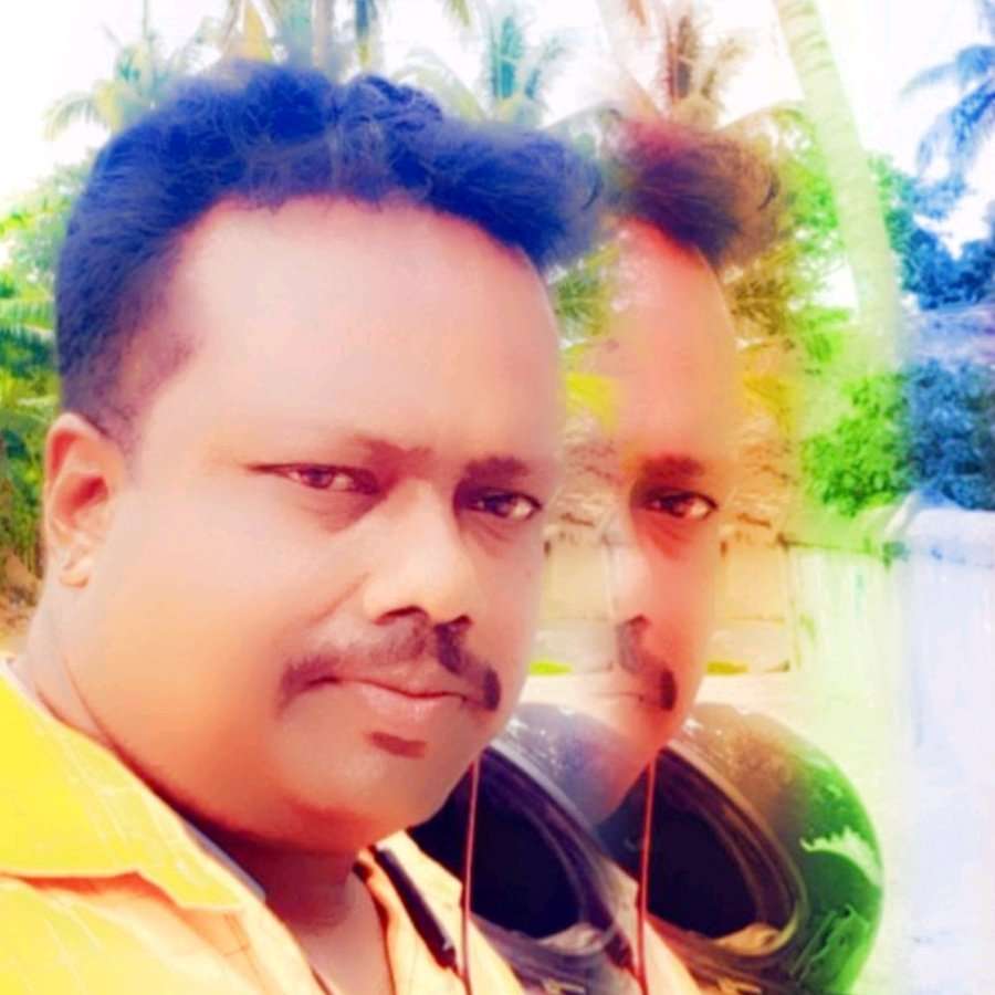 73529282 6502 medium large
