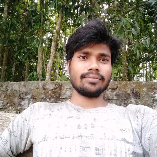 50554866 4353
