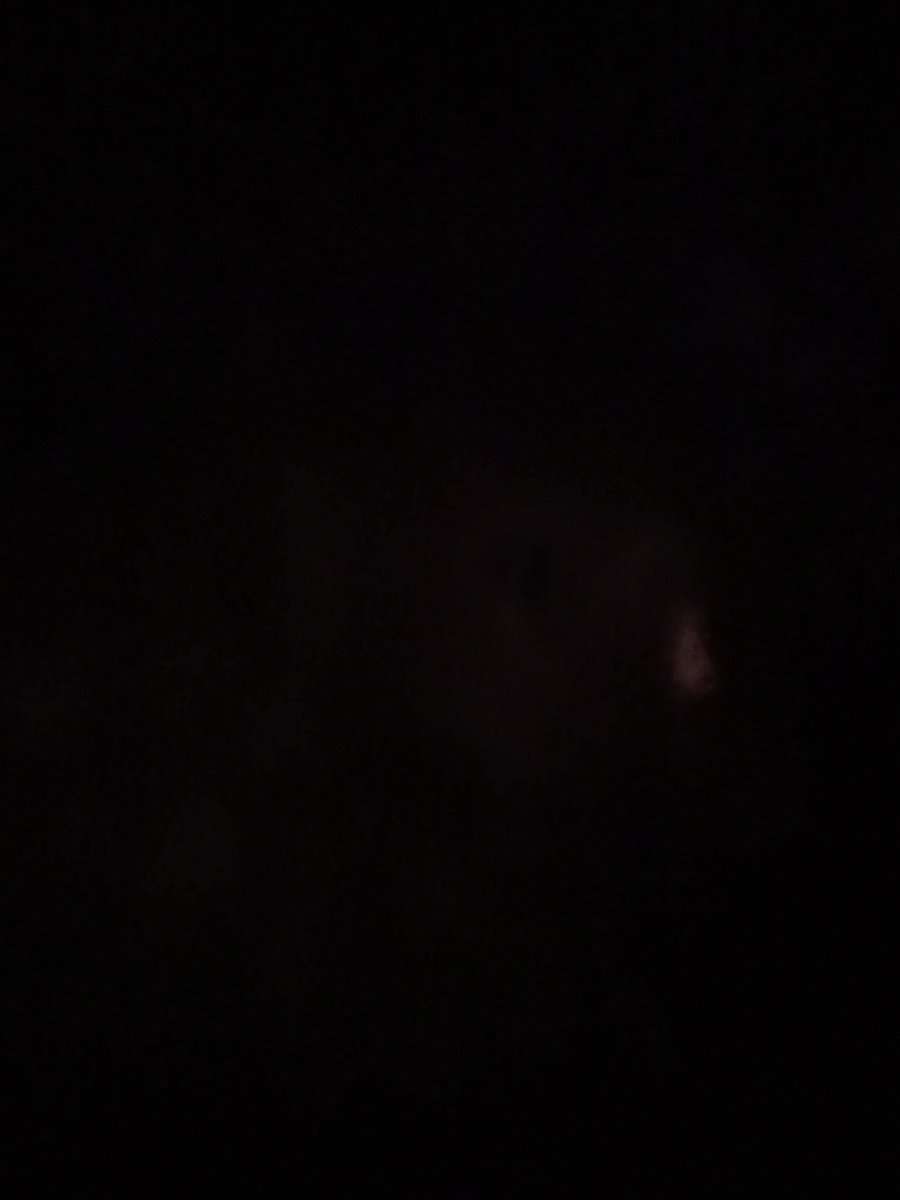 81716961 5648 medium large