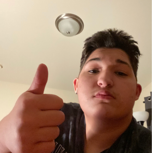 53368377 1117