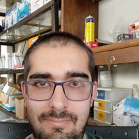 Poorya vosoogh's photo