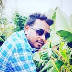 Willson Jack 's photo