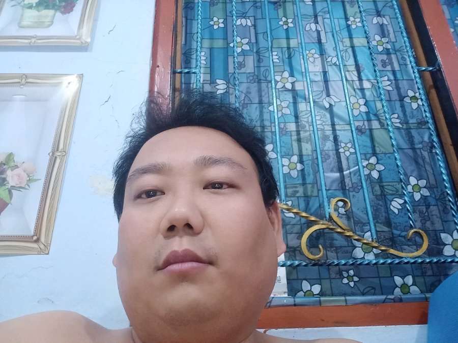 73668533 3340 medium large